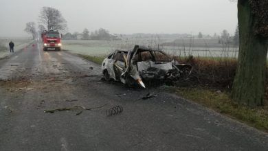 Tyle zostało z forda [ZDJĘCIA] Auto stanęło w płomieniach, kierowca zginął na miejscu (fot.Policja Kujawsko-Pomorska)