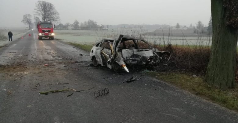 Tyle zostało z forda [ZDJĘCIA] Auto stanęło w płomieniach, kierowca zginął na miejscu (fot.Policja Kujawsko-Pomorska)