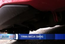 Dziś w całym kraju policyjna akcja "SMOG"