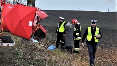 Jechała audi i uderzyła w drzewo. Dwie osoby nie żyją (fot.KWP Gdańsk)