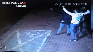 Katowice: Było pamiątkowe zdjęcie, po nim dewastacja pomnika Witkacego. Poznajecie ich? [WIDEO] (fot. KMP Katowice)