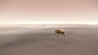 Polski KRET wylądował na Marsie! Sonda InSight przyniesie przełom w badaniu Czerwonej Planety? (fot.NASA)