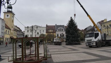 10-metrowa choinka w Rybniku już stoi! [ZDJĘCIA] Ale piękna! (fot. UM Rybnik)