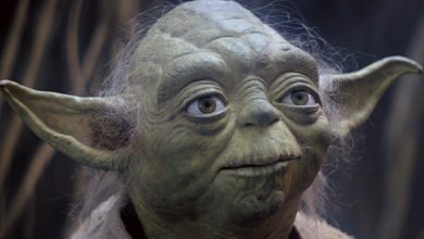 SZOK! Wygrał z urzędnikami i dał na imię dziecku... Yoda! Screen z filmu/ fot. https://www.youtube.com/user/BadLipReading