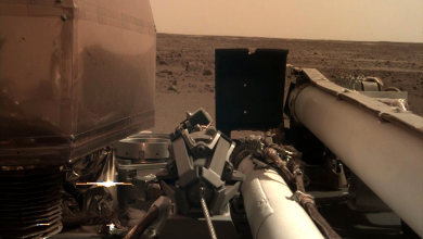 InSight na Marsie. NASA publikuje pierwsze zdjęcia z czerwonej planety