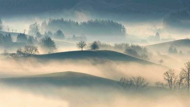 Gęsta mgła w woj. śląskim! IMGW wydał OSTRZEŻENIE METEO [09.11.2018]