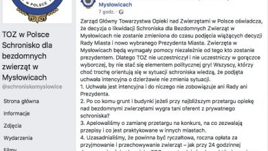 Czy schronisko w Mysłowicach będzie zlikwidowane? Władze czekają na decyzje nowego prezydenta