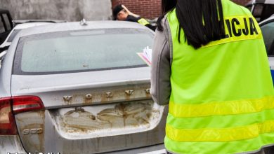 Ukradł księdzu samochód. Straty to ok. 53 tys. złotych (fot. Policja Lubuska)