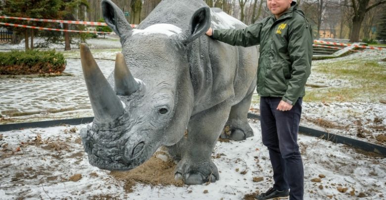 W chorzowskim ZOO można dotknąć nosorożca [FOTO]