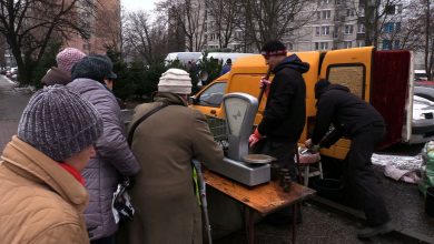 Karp to obowiązkowe danie na Wigilię? Niektórzy mówią, że lepszy bakłażan! [WIDEO]