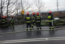 Gliwice: TiR z choinkami zablokował drogę. Drzewka wypadły na ulicę [WIDEO] (fot. Bartek 112 Katowice)