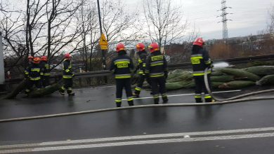 Gliwice: TiR z choinkami zablokował drogę. Drzewka wypadły na ulicę [WIDEO] (fot. Bartek 112 Katowice)