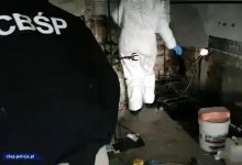 CBŚP uderza w przestępczość narkotykową. 7 osób zatrzymanych