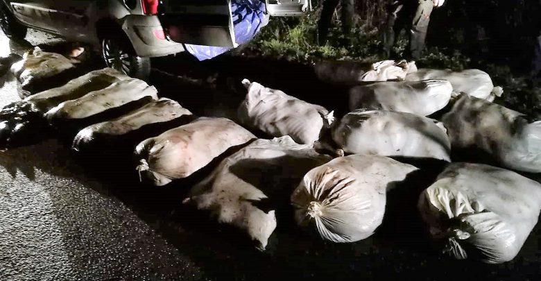 Ukradli 840 kg karpia, ryby przewozili w jutowych workach. Odpowiedzą za znęcanie się nad zwierzętami (fot.Policja Wielkopolska)