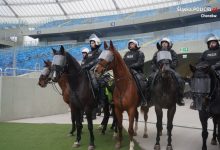 Rekrutacja do Policji Konnej w Chorzowie. Jacyś chętni? (fot. KMP Chorzów)