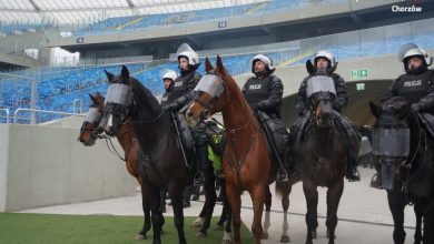 Rekrutacja do Policji Konnej w Chorzowie. Jacyś chętni? (fot. KMP Chorzów)