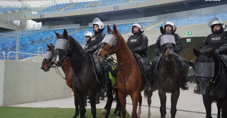 Rekrutacja do Policji Konnej w Chorzowie. Jacyś chętni? (fot. KMP Chorzów)
