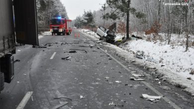 Śląskie: Tragiczny wypadek na DW 908. Samochód osobowy zderzył się z ciężarówką [ZDJĘCIA] (fot.Śląska Policja)