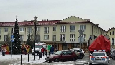 Tychy: Wbiegł wprost pod samochód (fot.KMP Tychy)