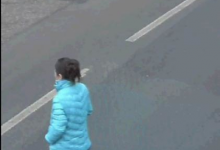 Koniec poszukiwań pani Barbary. Kobiety od kilku dni bezskutecznie poszukiwano zaginionej kobiety. Na jej trop wpadły psy do poszukiwań ze specjalnej jednostki (fot.KMP Gliwice)