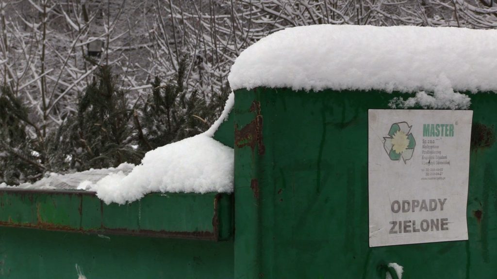 W większości miast choinki traktowane są jako odpady wielkogabarytowe. Trzeba więc sprawdzić, kiedy można je postawić przy śmietniku