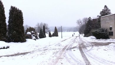 Rada nadzorcza Parku Śląskiego odwołana. Kiedy będzie nowy prezes?