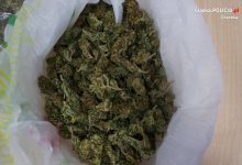 Kibole Ruchu Chorzów zatrzymani z narkotykami