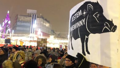 Stop rzezi dzików! Protest w Katowicach przeciwko masowemu odstrzałowi dzików (zdjęcia: Platforma Obywatelska Region Śląski/facebook)