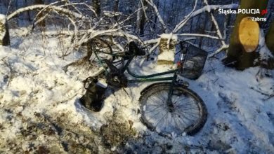 Tragiczny wypadek w Zabrzu. Nie żyje 46-letnia rowerzystka (fot.Śląska Policja)