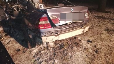 Drzewo w środku BMW [ZDJĘCIA] Tragiczna śmierć 22-latka (fot. Policja Lubelska)