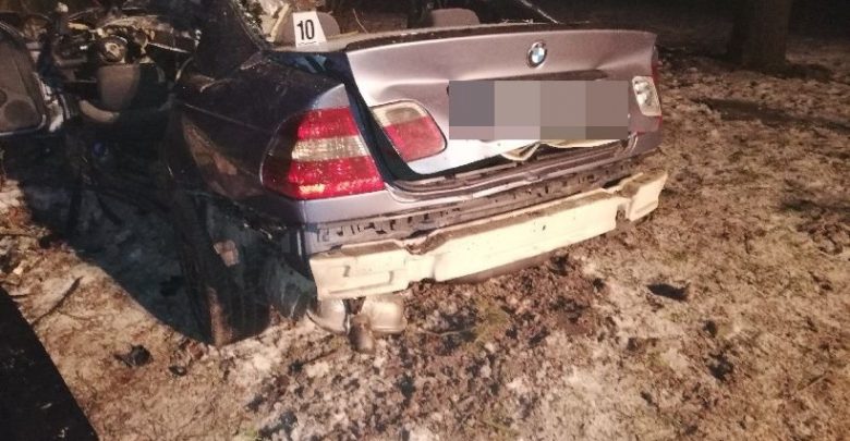 Drzewo w środku BMW [ZDJĘCIA] Tragiczna śmierć 22-latka (fot. Policja Lubelska)