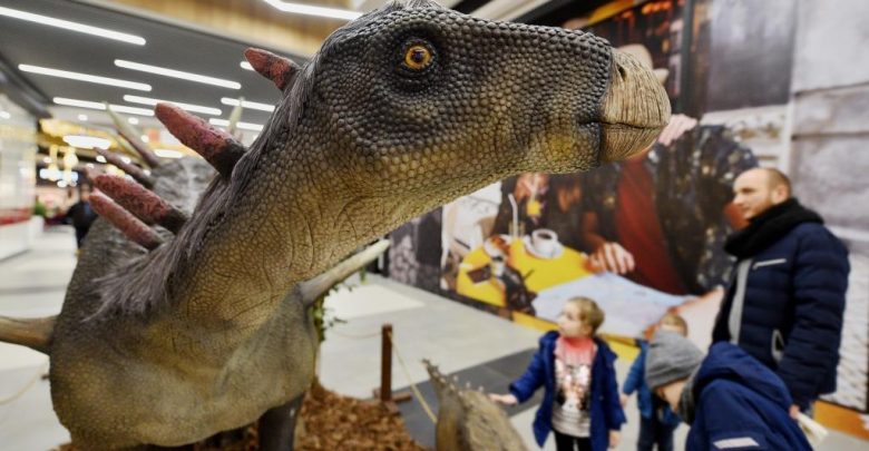 Skamieliny i dinozaury w Tychach. Możecie je obejrzeć do 31 stycznia (fot.mat.prasowe)
