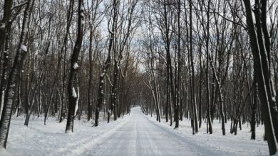 Zima stulecia w Polsce? Kiedy nadejdzie zima? [PROGNOZA POGODY, ZIMA 2019]