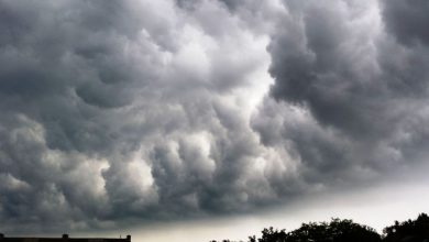 Trwa liczenie strat po silnym wietrze na Śląsku. Ponad 1400 gospodarstw bez prądu