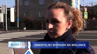 Śmiertelny wypadek na Katowickiej w Mikołowie. Nie żyje 62-letnia kobieta [WIDEO] (fot.mat.TVS)