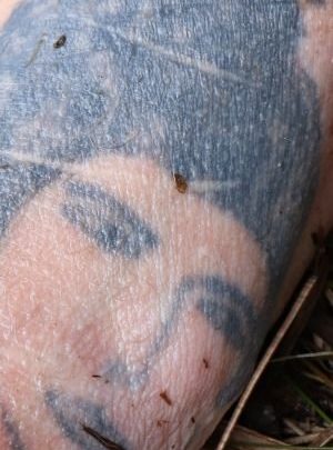 Tajemniczy wypadek na Śląsku! Policja publikuje zdjęcia tatuaży i prosi o pomoc [ZDJĘCIA]