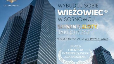 Arkadiusz Chęciński zaorał internety. Wybuduj sobie wieżowiec w Sosnowcu