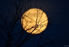 Śnieżny Superksiężyc pojawił się na niebie dzisiaj, 19 lutego. Księżyc w pełni można podziwiać od godz. 15:52 aż do jego zachodu, o godzinie 06:58 w środę, 20 lutego. fot:Tomasz Pestka photography