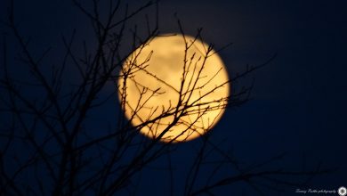 Śnieżny Superksiężyc pojawił się na niebie dzisiaj, 19 lutego. Księżyc w pełni można podziwiać od godz. 15:52 aż do jego zachodu, o godzinie 06:58 w środę, 20 lutego. fot:Tomasz Pestka photography