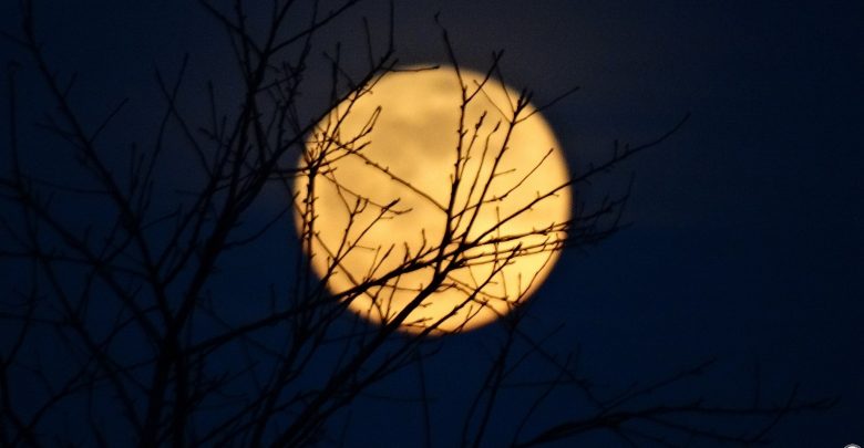 Śnieżny Superksiężyc pojawił się na niebie dzisiaj, 19 lutego. Księżyc w pełni można podziwiać od godz. 15:52 aż do jego zachodu, o godzinie 06:58 w środę, 20 lutego. fot:Tomasz Pestka photography