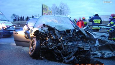 Śląskie: Śmiertelny wypadek w Pielgrzymowicach. Nie żyje 32-letnia kobieta, jej 5-letni syn trafił do szpitala (fot.KPP Pszczyna)