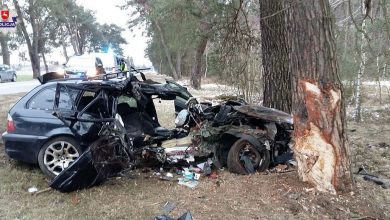 Pijany uderzył w drzewo. Zabił pasażera (fot.Policja Lubelska)