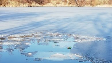 Lód załamał się pod trójką nastolatków w Częstochowie. Wszyscy byli pijani (KMP Częstochowa)