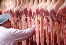 Afera mięsna: Koniec audytu nadzoru weterynaryjnego w Polsce. Co znaleźli unijni inspektorzy?