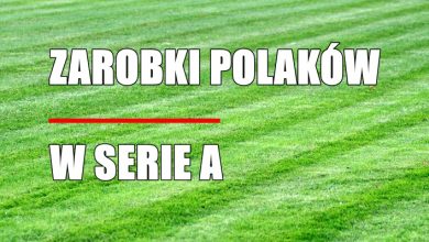 Ile zarabiają Polacy w Serie A? (fot. poglądowe pixabay)