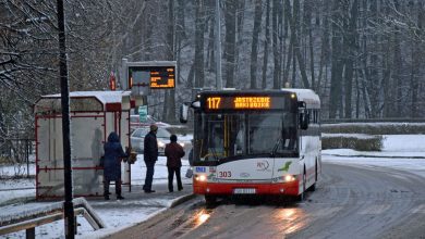 Darmowa komunikacja miejska w Jastrzębiu-Zdroju. Kto pojedzie za darmo?