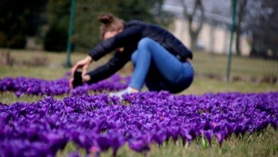 Po chwilowym ochłodzeniu, znowu będzie ciepło [PROGNOZA POGODY]