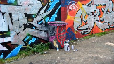 Ruda Śląska: Franek Mysza namaluje mural w Kochłowicach!