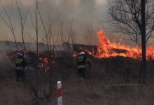 Potężny pożar w Sosnowcu! W ogniu 2 hektary, obok stacja benzynowa!