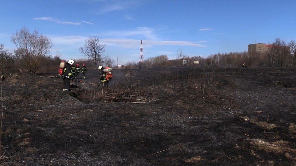 Pożar traw w Sosnowcu objął teren o powierzchni ok. 2 hektarów. Przez gęsty dym, widoczność na skrzyżowaniu dróg krajowych numer 94 i 86 była mocno ograniczona
